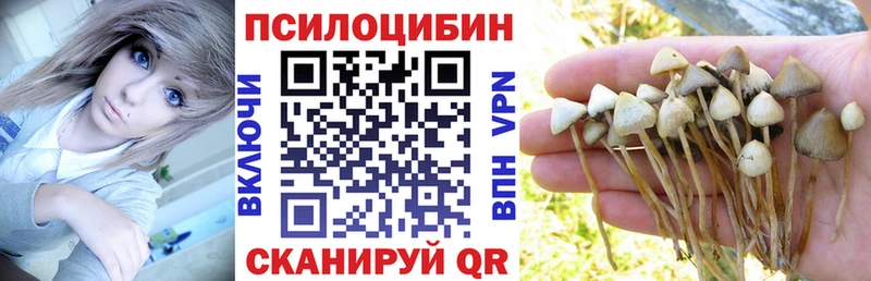 где найти   Пустошка  Псилоцибиновые грибы ЛСД 